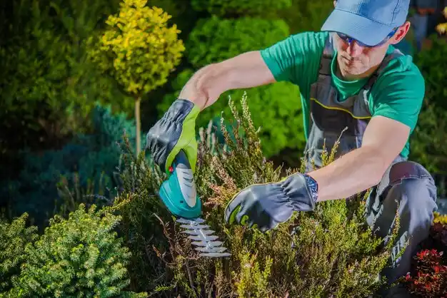 landscaping services Brookhaven